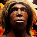 Re-creating a Hominin