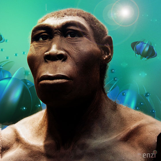 Homo_erectus_560